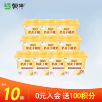 蒙牛（MENGNIU）阿慕乐奶皮子原味风味酸牛乳预制杯135g×10杯 源头直发
