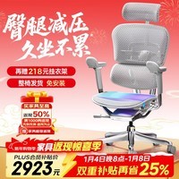 Ergonor【重磅新品】保友金豪E2 Pro 旗舰人体工学椅 办公椅电脑椅电竞椅 银白网
