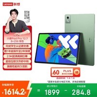 联想小新PadPro12.7 2025款平板电脑 2.9K高刷全面屏 娱乐学习 10200mAh 8+256G小青新