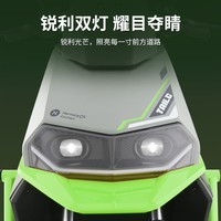 台铃电动摩托车追风者高性能长续航电动车2000W智能高速电摩72V38Ah大电池外卖代步电瓶车哑光闪绿