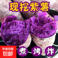 紫罗兰红薯沙地现挖紫薯宝宝辅食紫芋头山芋苕粗粮新鲜包邮 紫罗兰紫薯2斤中小果 含箱