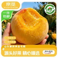 京觅蒙阴黄桃毛桃子净重4.5斤中果150g+生鲜水果源头直发包邮