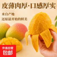 正宗攀枝花凯特芒青黄皮汁多应季新鲜采摘肉厚生熟两吃大果整箱 带箱8斤净重7.5斤单果400g