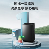 美的（Midea）波轮洗衣机全自动大容量宿舍除螨洗品质电机 双重抗菌省水省电一级能效专利免清洗不锈钢立方内筒 新品上市MB10V56T 波轮 10kg