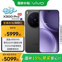 vivo X300 Pro 新品5G手机 蔡司2亿APO超级长焦 纯粹黑 16GB+512GB 卫星通信版【全国补贴】
