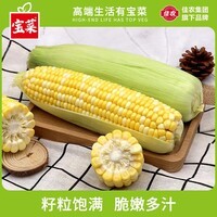 宝菜玉米新鲜金银玉米带皮水果玉米棒低脂减肥早餐 整箱包邮 净重5斤【皮薄汁多】