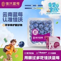 佳沃（joyvio） 云南蓝莓14mm+ 12盒原箱装 约125g/盒 新鲜水果礼盒