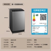 TCL 8公斤抗菌小型波轮洗衣机全自动家用V2R 一级能效 宿舍租房 家电国家补贴20%以旧换新B80V2R
