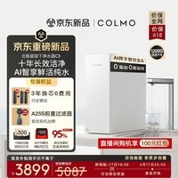 COLMO【新品】北极星净水器C3 家用厨下十年RO反渗透母婴直饮机 0阻垢剂触控龙头1200G大通量净饮机 极地白CWRC1200-C3净水器