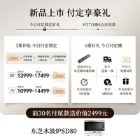 东芝REGZA R700SF 75英寸 原色RGB MiniLED电视 音画双芯升级 前出音 世界杯定制【固定挂架送装一体】