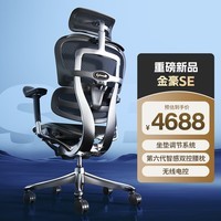 Ergonor保友金豪SE 顶奢旗舰人体工学椅老板椅 办公/家用电脑椅 黑色网