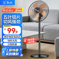 长城电风扇落地扇家用风扇立式大风力客厅宿舍五叶扇轻音节能劲风远距电扇 20英寸铝叶落地扇FS45(302)L