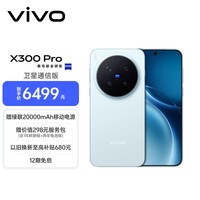 vivo X300 Pro 卫星通信版 16GB+512GB 自在蓝 蔡司2亿APO超级长焦 蓝图影像双芯 拍照 AI手机