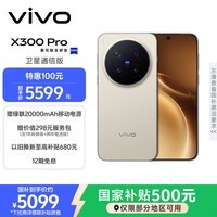 vivo X300 Pro 卫星通信版 12GB+256GB 旷野棕 蔡司2亿APO超级长焦 蓝图影像双芯 拍照 AI手机