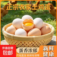 新鲜鸡蛋农家散养土鸡蛋虫草谷物饲养鸡蛋笨鸡蛋单枚40g左右 土鸡蛋10枚
