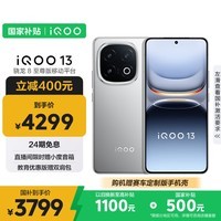 iQOO 13 【国家补贴】16GB+512GB 纳多灰 骁龙8至尊版 2K护眼屏 120W快充长续航 5G电竞手机