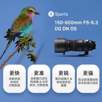 适马(SIGMA)150-600mm F5-6.3 DG DN OS |Sports 全画幅无反 超远摄变焦镜头 打鸟拍荷花(索尼卡口)