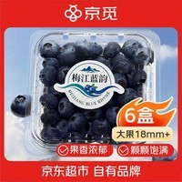 京觅江西 梅江蓝韵花香蓝莓6盒装净重100g/盒 大果18mm+水果源头直发