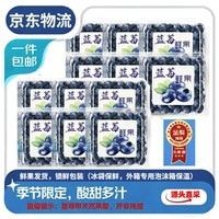 正秘书云南蓝莓 新鲜应季时令水果整箱 3斤装单果12-15mm 净重2.4斤100g*12盒