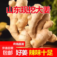 山东窖藏大黄姜5斤新鲜生姜老姜沙姜月子姜农家现挖当季蔬菜 净重245g
