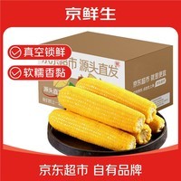 京鲜生东北黄糯玉米净重3.5斤 8根*220g+ 真空包装加热即食 源头直发