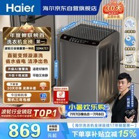 海尔(Haier)全自动波轮洗衣机10公斤大容量 直驱变频 6键自编程 国家补贴京东自营 家用租房 EB100B32Mate1