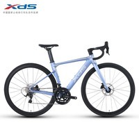 喜德盛公路自行车24款AD350 油碟桶轴固定轮组2x10变速全隐藏内走线 雾霾蓝 570mm（适合身高195-210cm）