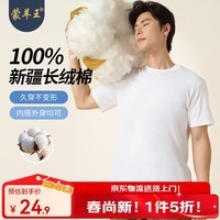 蒙羊王男士短袖t恤男100%纯棉夏季新款圆领男士高端t恤短袖男装打底衫 白色 XL (175)