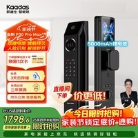 凯迪仕（KAADAS）智能锁人脸识别指纹锁 可视猫眼大屏智能门锁  P30 Pro Max AI版