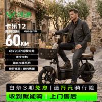 绿源（Luyuan）电动自行车 新国标卡乐12电动车可上牌超长续航买菜带娃通勤代步电动车高雅黑
