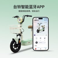 台铃电动自行车小锦鲤2026新国标电动车48V13AH铅酸电池长续航可上牌男女通勤代步上班电瓶车茵茵绿