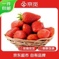 京觅 四川大凉山草莓2盒装 单果13g+ 净重600g 生鲜水果 源头直发