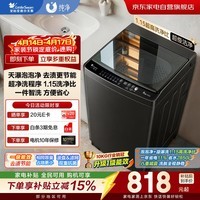 小天鹅波轮洗衣机全自动家用10公斤大容量 抗菌除螨 超净洗 强去污 一级能效 天瀑泡泡净TB10V27T