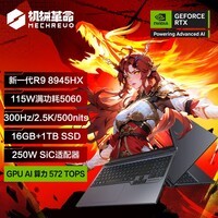 机械革命蛟龙16Pro 2025 16英寸游戏电竞笔记本电脑(R9-8945HX 16G 1T RTX5060 300HZ 2.5K 灰)