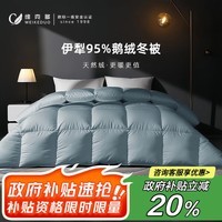 维克多（VCD）95鹅绒冬被冬季保暖加厚双人羽绒被被芯充1kg 200*230cm蓝色