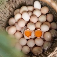 整箱50枚正宗农家散养土鸡蛋儿童孕妇营养虫草蛋整箱批发15枚 15枚农家土鸡蛋破损包赔