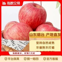 山东烟台红富士苹果脆甜多汁栖霞丑苹果 75mm+带箱2斤净重1.6斤