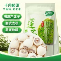 十月稻田 莲子 250g 半斤 湘潭产去芯磨皮白莲子 桂圆百合银耳羹煲汤食材 