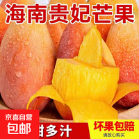 海南贵妃芒果 新鲜水果甜心芒果热带现摘红金龙芒果整箱水果 贵妃芒带箱2斤(单果50-100g)净重1.6斤