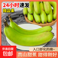 京喜加【当季新鲜】高山甜香蕉正宗当季水果现摘现发软糯香甜一整箱带箱 高山香蕉   带箱1斤