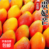 海南贵妃芒果 新鲜七彩水果甜芒果热带现摘红金龙芒果整箱水果 贵妃芒带箱2斤(单果50-100g)净重1.6斤