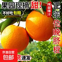 【京东快递】纽荷尔脐橙新鲜多汁应季自种农家新鲜采摘60-65mm 纽荷尔橙-带箱1斤  60-65mm