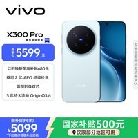 vivo X300 Pro 12GB+256GB 自在蓝 蔡司2亿APO超级长焦 蓝图影像双芯 5年持久流畅OriginOS 6 AI手机
