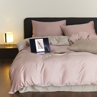 AIDLI60支兰精天丝四件套 A类莱赛尔凉感丝滑轻奢床上套件 满天星紫-曙光银 四件套 床单款 （被套200*230cm）