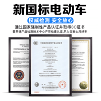 普莱德新国标折叠电动自行车超长续航轻骑电动车铝合金代驾车锂电池助力男女成人电瓶车代步电单车 标准版-汽车级电芯20A-助力250KM