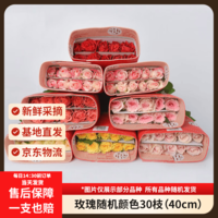 京东鲜花玫瑰花随机颜色30枝(2-3种颜色)40cm鲜切花生活花束山东源头直发