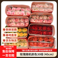 京东鲜花随机色系玫瑰30枝40cm(2-3配色)山东新鲜现采送礼物悦己源头直发