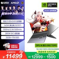 机械革命蛟龙16Pro 2026 国家补贴 16英寸游戏笔记本电脑(R9-8945HX 32G 1T RTX5070Ti 300HZ )灰