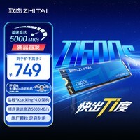 致态(ZhiTai)长江存储 512GB SSD固态硬盘 NVMe M.2接口 Ti600s系列 (PCIe 4.0 产品)