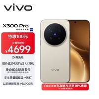 vivo X300 Pro  12GB+256GB 旷野棕 【地方补贴专享版】蔡司2亿APO超级长焦 蓝图影像双芯 AI手机